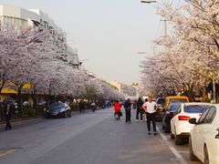 -永乐路-路侧停车场