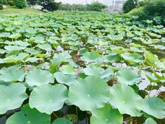 -江西科技学院