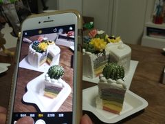 半面多肉植物生日蛋糕-BON CAKE(华贸购物中心店)