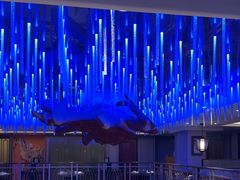 -蟹之国·精品蟹料理(极地店)