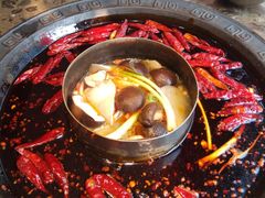 -重庆渝达老火锅(春熙路店)