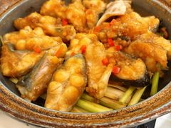 -南棠馆粤菜坊(群光店)