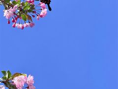 -厦门园林博览苑