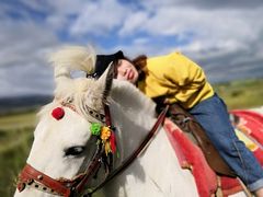 -青海湖国家重点风景名胜区