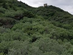 -四川简阳羊肉汤火锅(望花路西里店)