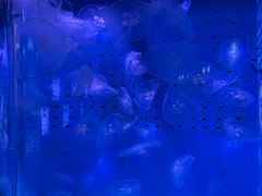 -厦门海底世界