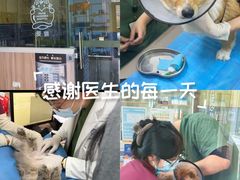 -瑞鹏宠物医院·内科·中兽医·骨科(苗圃店)