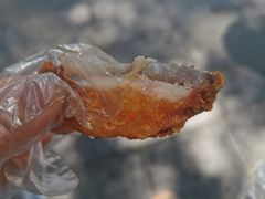 -阿捡忭京炸鸡(韭菜园总店)