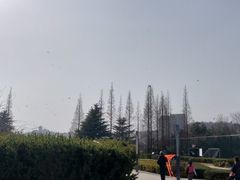 -汇泉广场