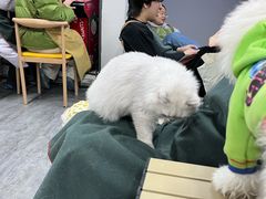 -汪说·狗咖(旺城大厦店)