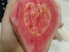 -冯记香辣兔火锅(茶店子总店)