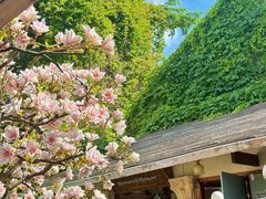 -Lamant Manor已闻花名关於蓝