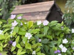 -明谷行馆·温泉