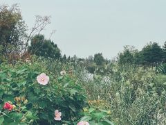 -南京眼步行桥