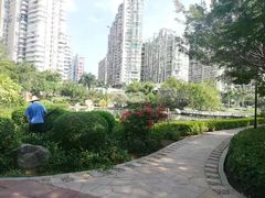 -江头公园