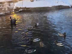 -水磨沟公园