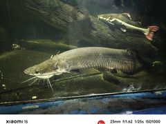 -泉州海丝野生动物世界