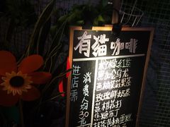 -有猫主题·治愈系猫咖(曾厝垵店)