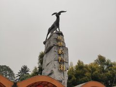 -成都动物园