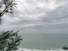 -广东惠东海龟国家级自然保护区