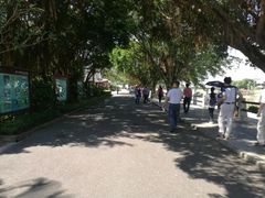 -大湾区中央湿地公园