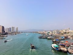 -广东惠东海龟国家级自然保护区
