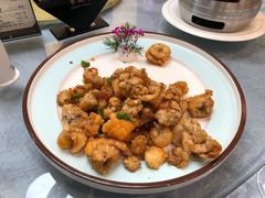 -丁老爷子苏香圆