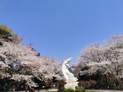 -杭州少年儿童公园