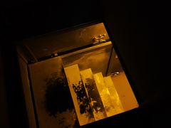 -MOJO密室逃脱(中街旗舰店)