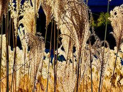 -北京雁栖湖国际会展中心