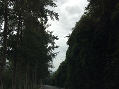 -乌龙峡谷景区