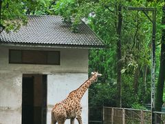 -杭州动物园