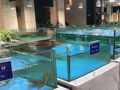 水产区-旺顺阁海鲜广场(亚运村店)