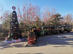 -南宫五洲植物乐园