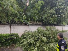 -四川大学(华西校区)