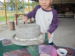 -宁波九龙湖开元度假村