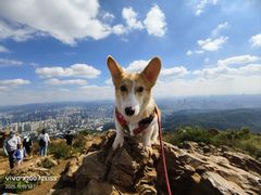 -长虫山生态公园风景林