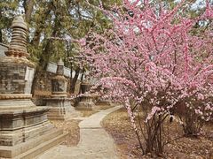 -潭柘寺景区