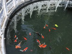 -丹东市五龙山风景区