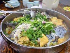 大盆鱼-溪悦渔庄(九龙湖店)