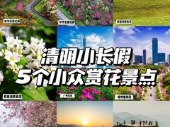 -贵州百里杜鹃风景名胜区