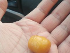 -阿男野栗王(金门路店)