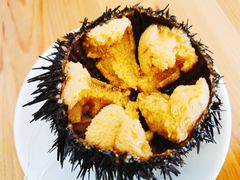 -海胆小馆(东北水饺·春柳店)