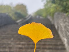 -虞山城墙景区-北门售票处