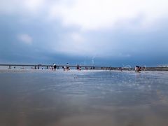 -南汇新城海滩