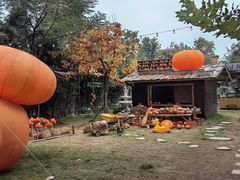 -HERRE·FARM 赫尔露营农场·团建聚会包场