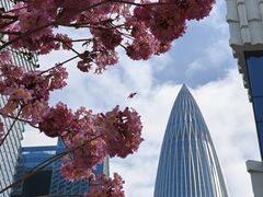 -深圳湾万象城(南山店)