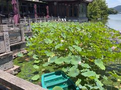-湘湖大院(越王路店)