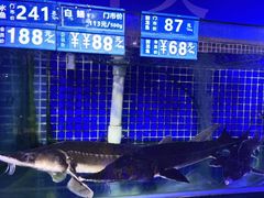 -青蓬蒸汽海鲜·深圳老字号·团建聚会(壹方城店)