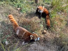 -宁波野生动物园